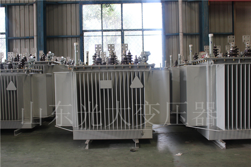 灌南S20-500KVA/10KV
